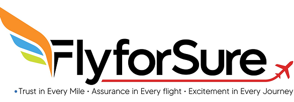 VoloFlyLogo 1